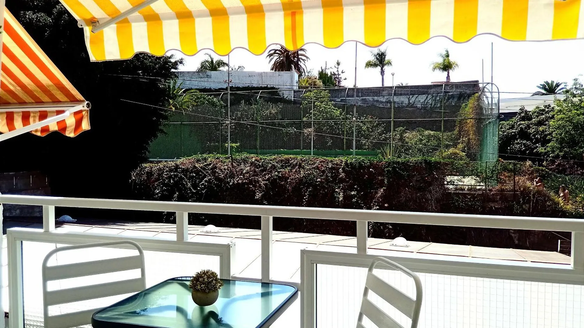 Rincon Del Botanico Apartment Puerto de la Cruz